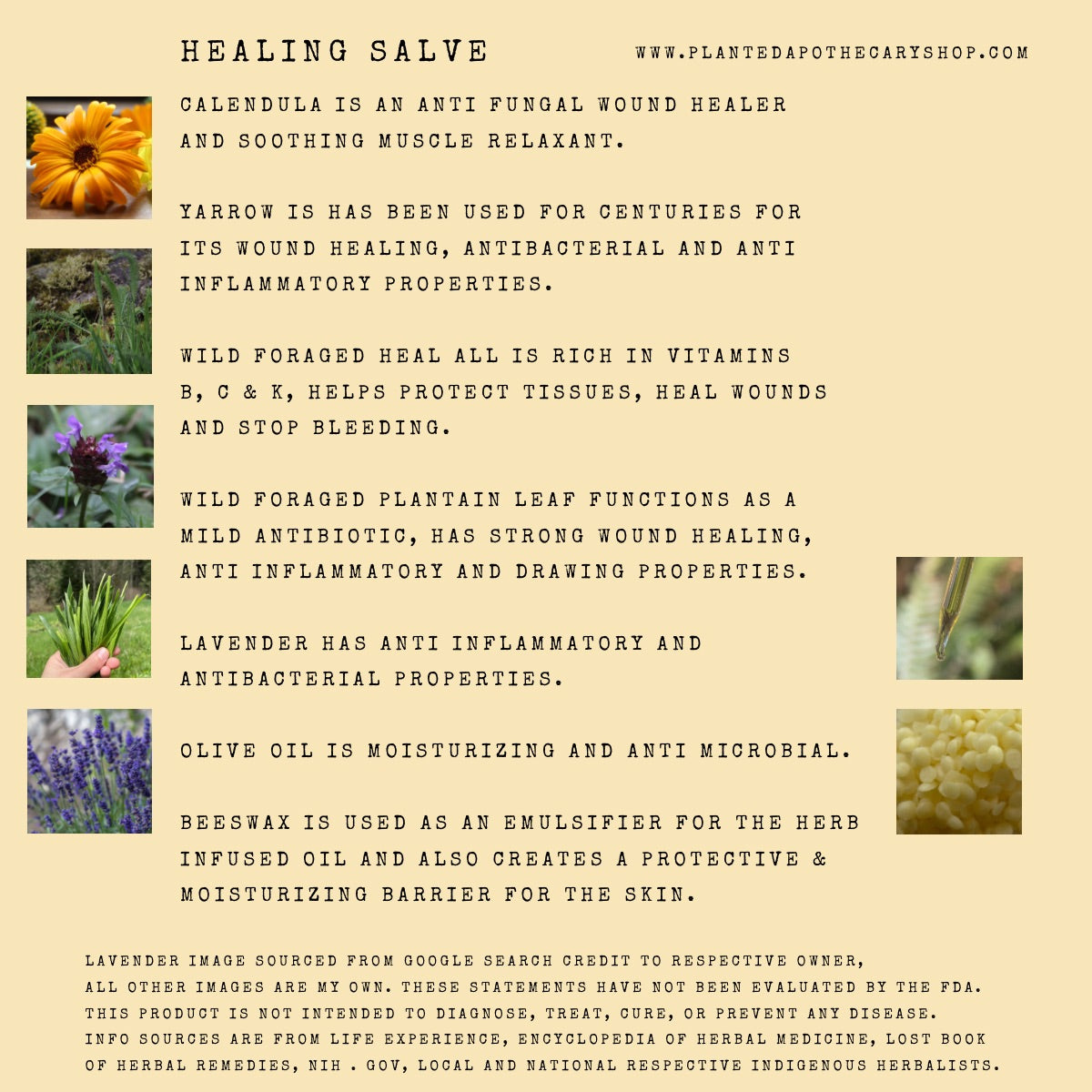 Calendula Herbal Healing Salve