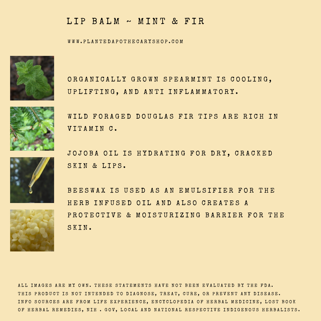 Herbal Lip Balms
