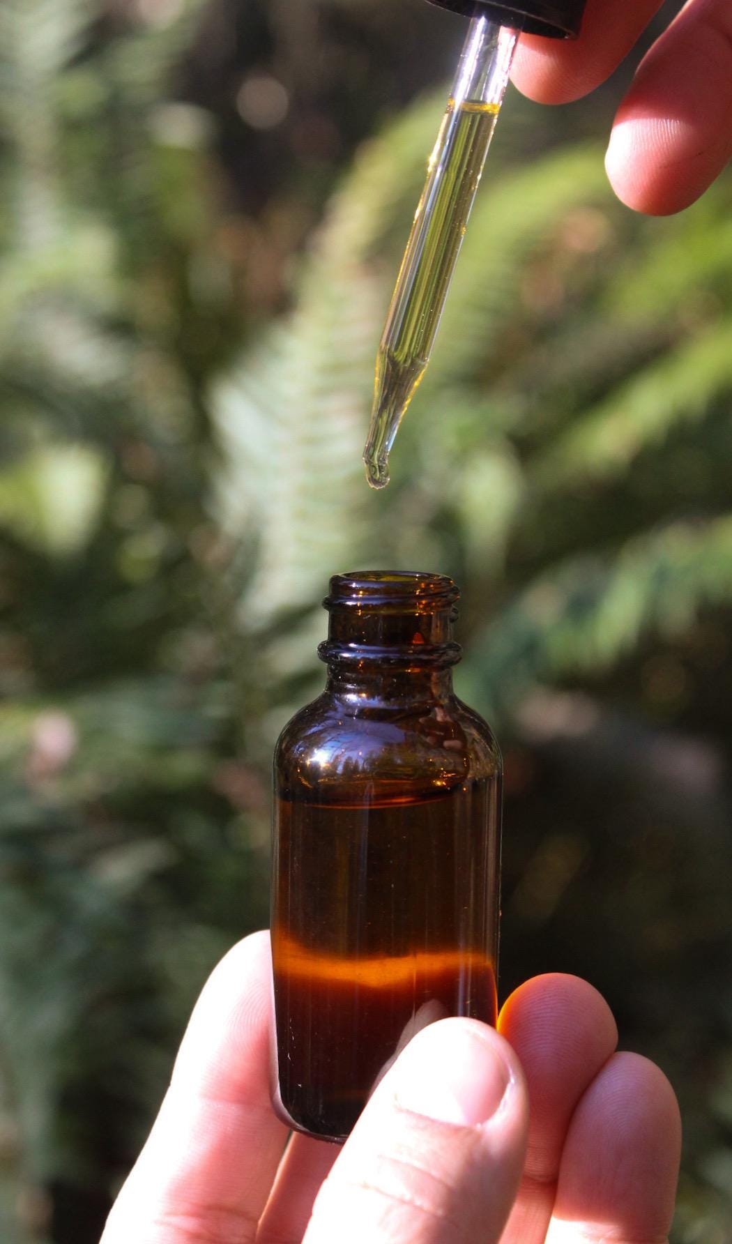 Mullein Garlic Herbal Ear Serum - Planted Apothecary