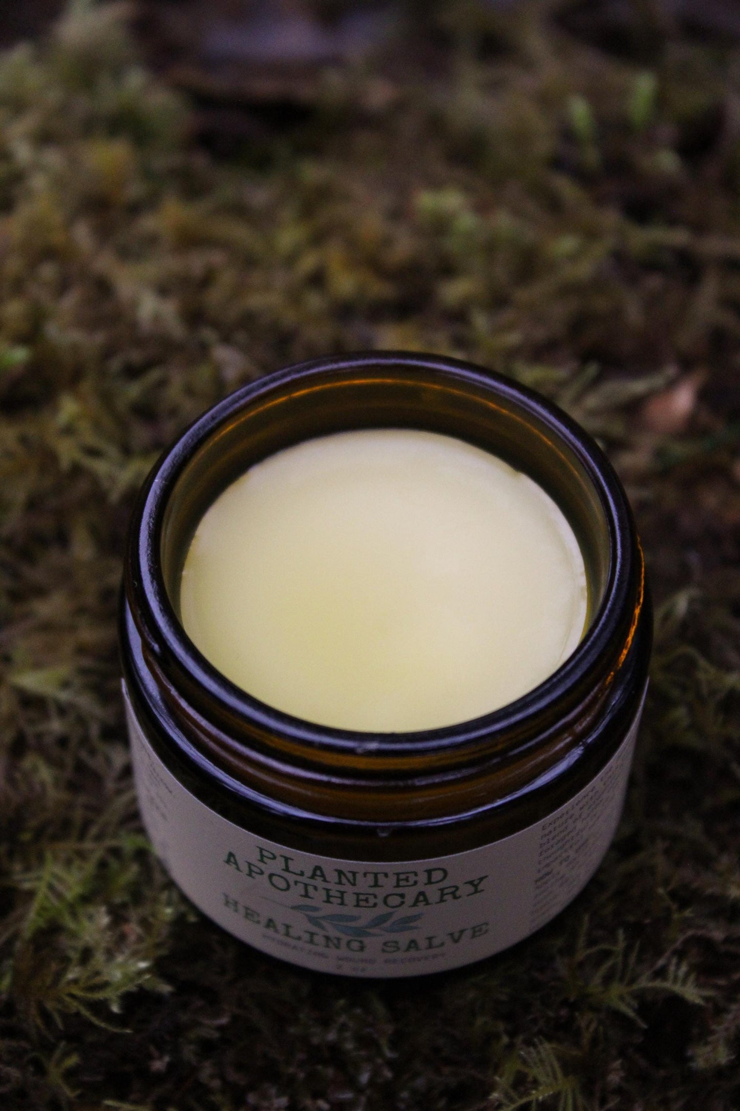 Calendula Herbal Salve - Planted Apothecary