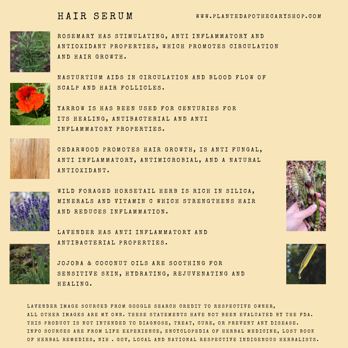 Herbal Hair and Scalp Serum