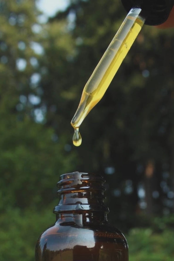 Herbal Hair and Scalp Serum - Planted Apothecary