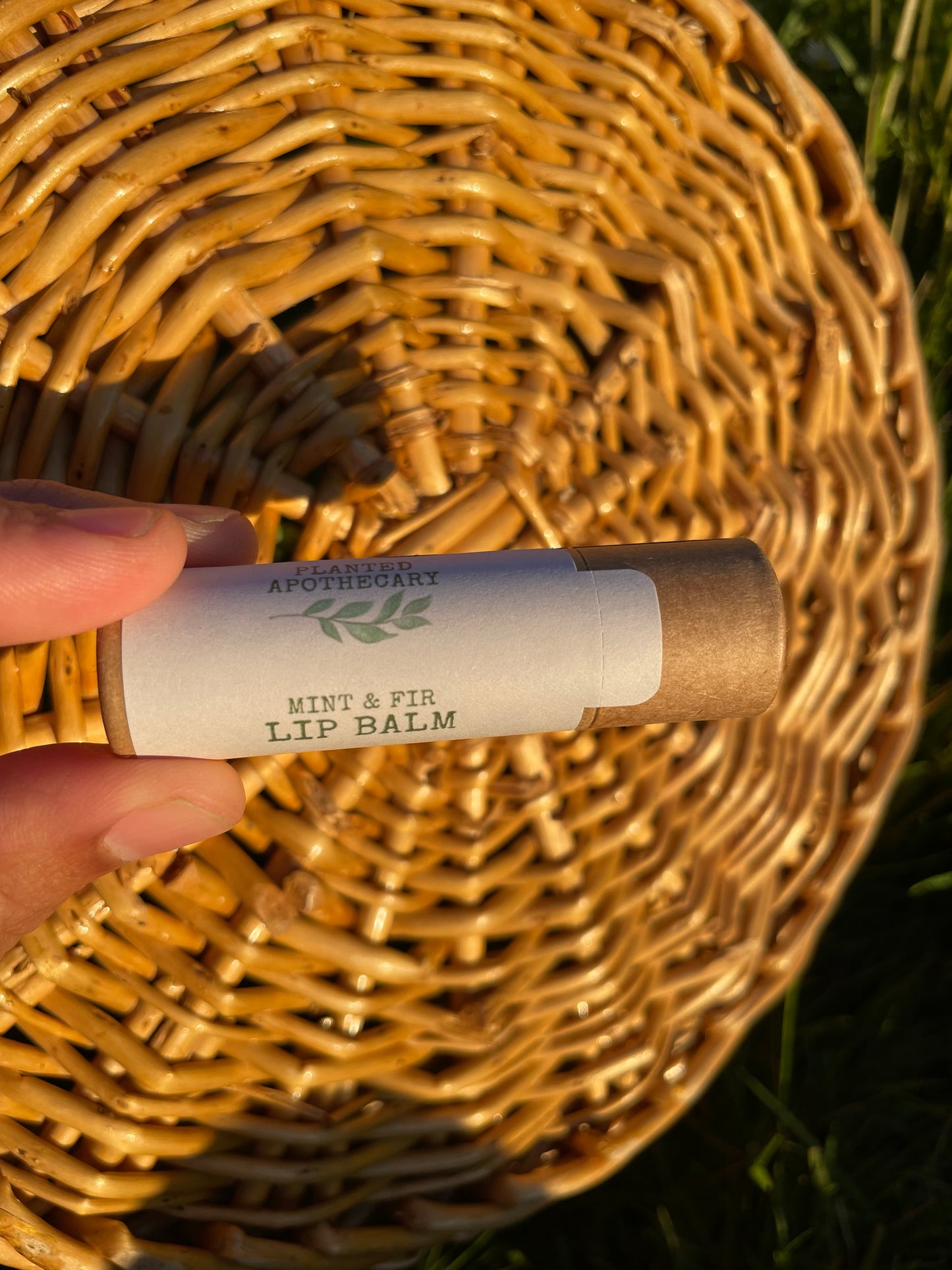 Herbal Lip Balms