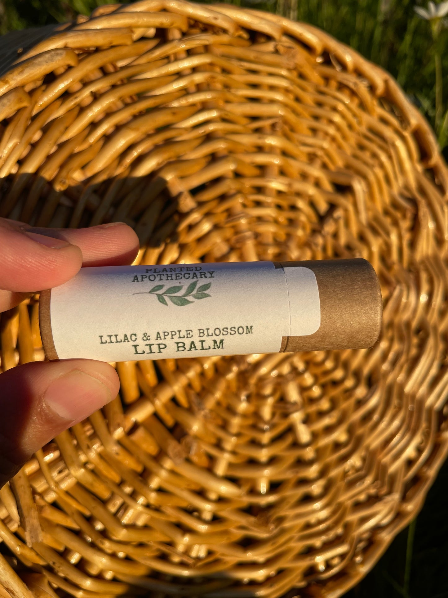 Herbal Lip Balms